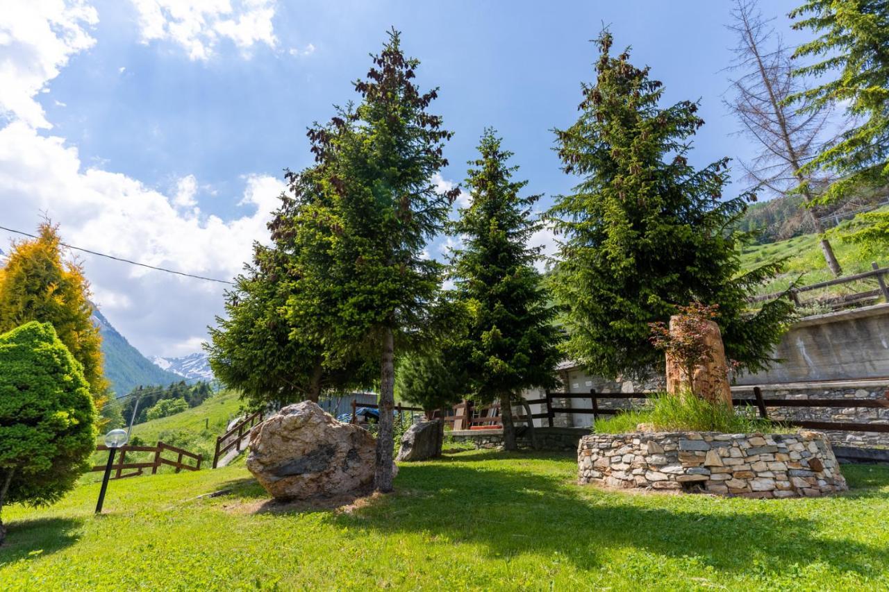 Hotel Des Alpes Сент-Реми-ан-босис Екстериор снимка